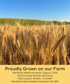 Certified Glyphosate Residue Free Hard Red Winter Wheat Berries | 10 LBS | Family Farmed in Washington State | Non-GMO Project Verified | 100% Non-Irradiated | Certified Kosher Parve | Field Traced | Burlap Bag