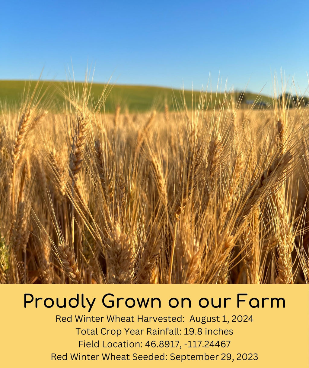 Certified Glyphosate Residue Free Hard Red Winter Wheat Berries | 18 LBS | Family Farmed in Washington State | Non-GMO Project Verified | 100% Non-Irradiated | Certified Kosher Parve | Field Traced