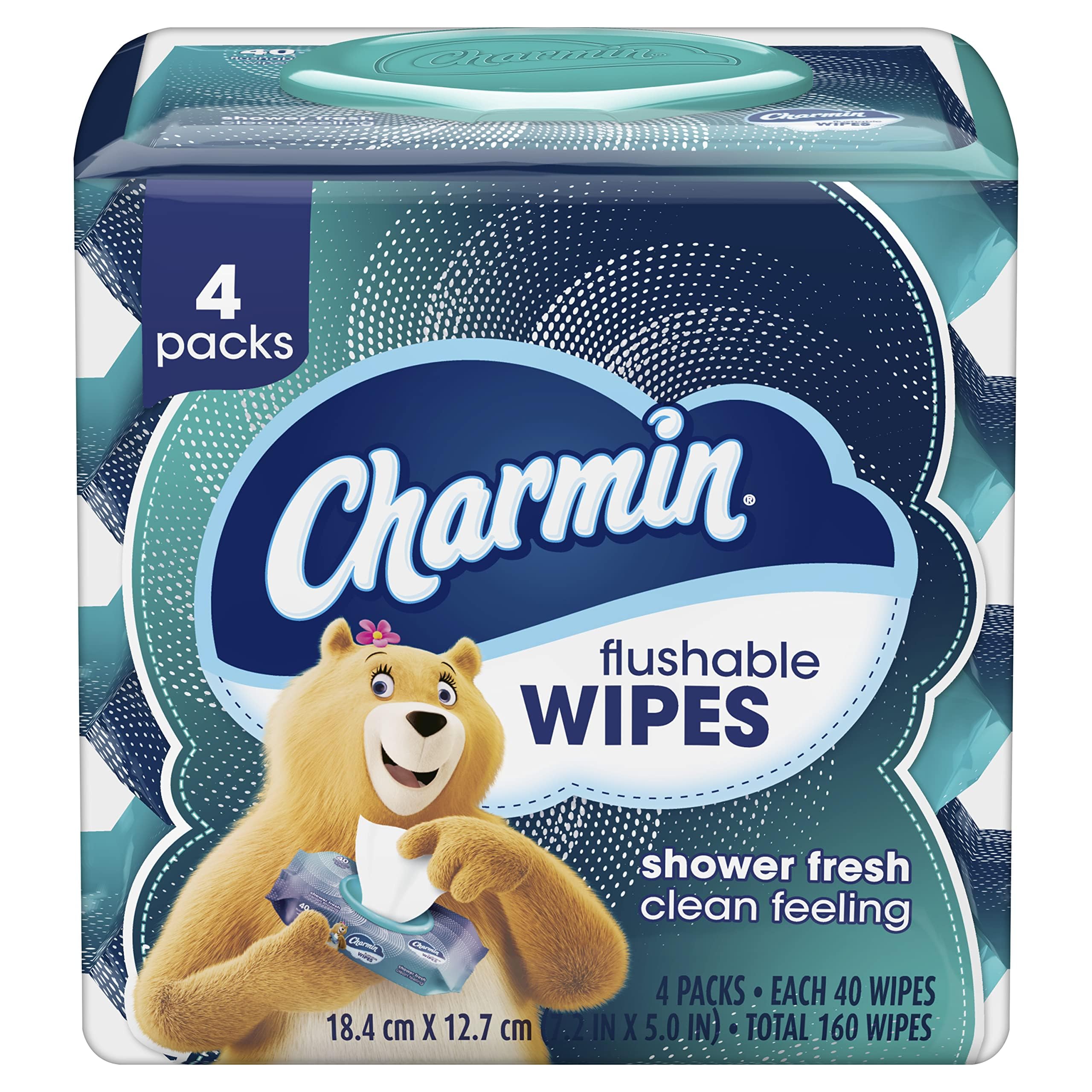 Charmin Flushable Wipes, 160 Total Wipes 40 Count (Pack of 24)