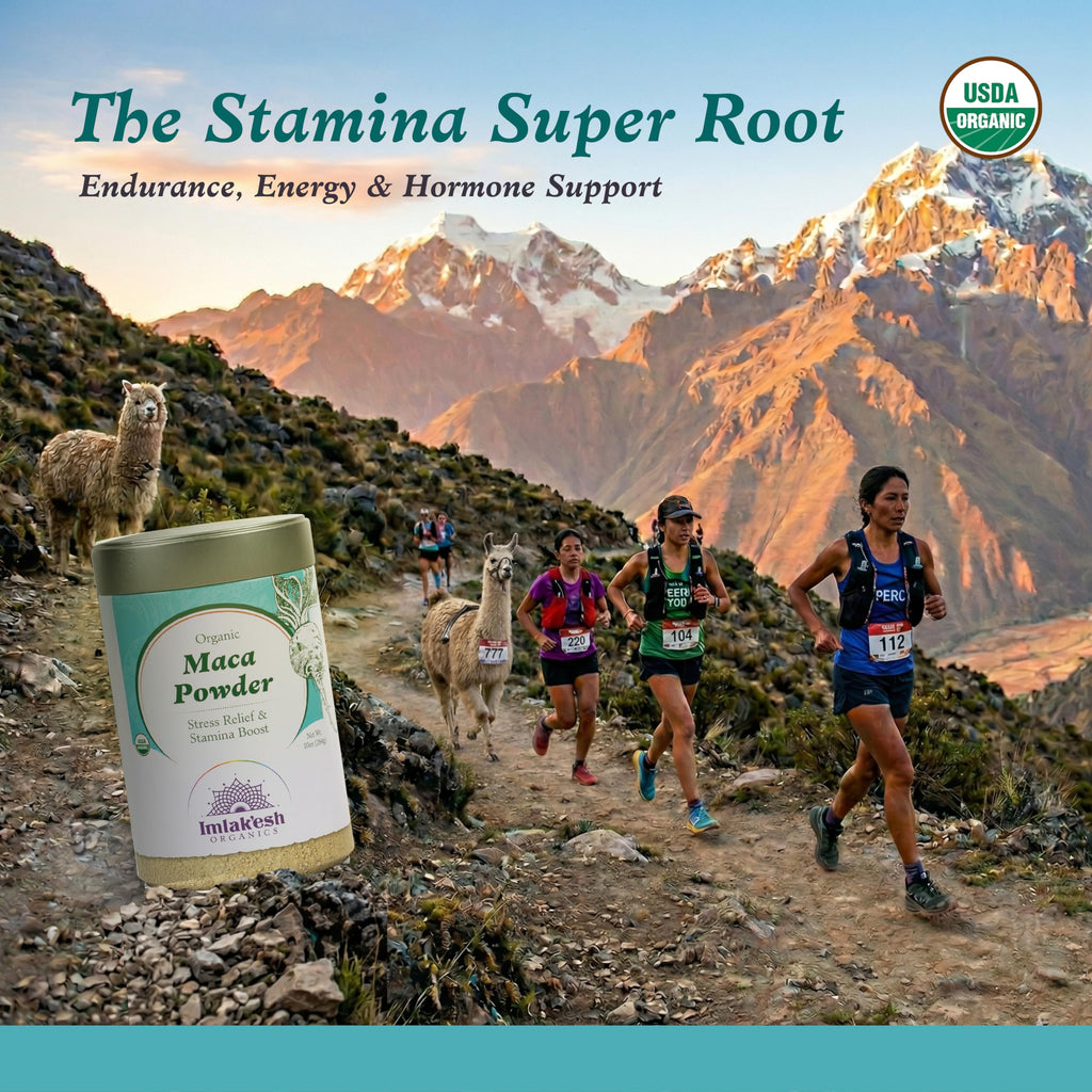 Imlakesh Organics Maca Powder (10oz Metal Jar)