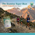 Imlakesh Organics Maca Powder (10oz Metal Jar)
