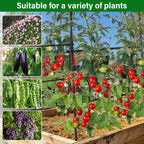 Toriexon Garden Arch Trellis for Climbing Plants