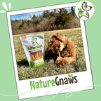 Nature Gnaws USA Turkey Tendons Dog Treats, 8 oz