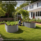 Anleolife 4x6ft Galvanized Garden Arch Trellis, Raised Beds and Vines