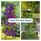 Sunnydaze 60" Black Metal Garden Trellis for Climbing Plants, 2-Pack
