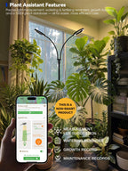 Grow Lights for Indoor Plants,LED Plant Light with Stand for Indoor Growing