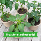 Back to The Roots Organic Coir, 51 Quart Expanding Soil, Great for Seeds and Potting