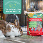 Oxbow Western Timothy Hay, Rabbit & Guinea Pig Hay, High Fiber, USA, 90 oz