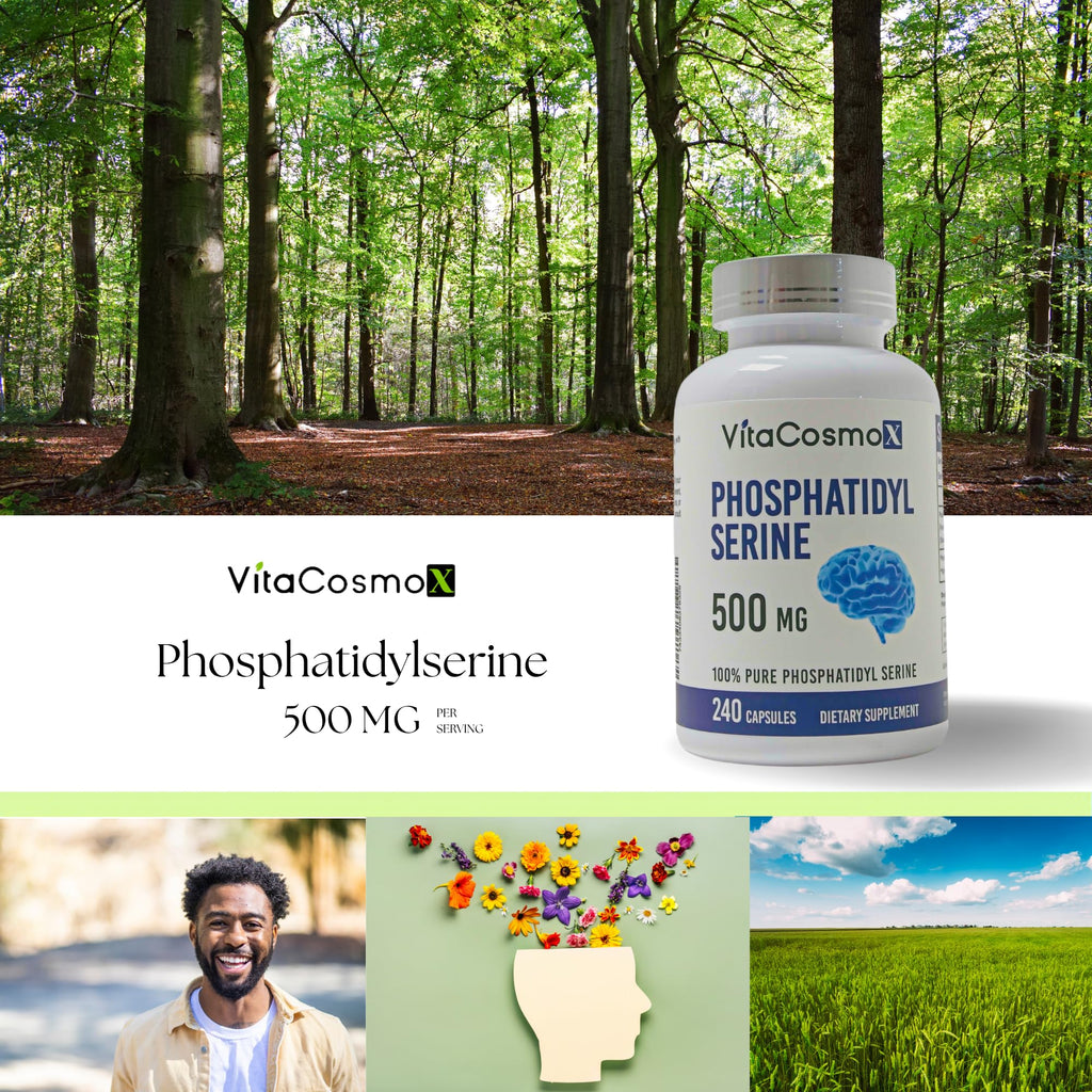 VitaCosmoX Phosphatidylserine, 500mg, 240 Veggie Capsules 100% Vegetarian, Non-GMO & Gluten Free - 2 Packs