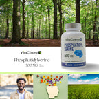 VitaCosmoX Phosphatidylserine, 500mg, 240 Veggie Capsules 100% Vegetarian, Non-GMO & Gluten Free - 2 Packs