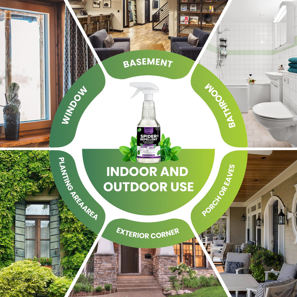 VANQUAR Peppermint Oil Insect & Spider Repellent Spray - All-Natural, Pet-Safe Bug Control for Home, Kitchen & Garden - 16 oz