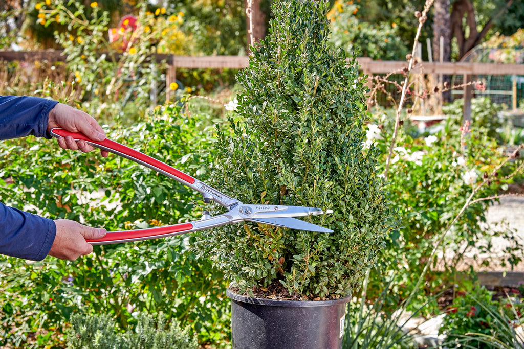 Corona Tools PrecisionCUT Aluminum Hedge Shear – Lightweight Hedge Clippers for Trimming Hedges, Shrubs & Bushes, Garden Landscaping Shears