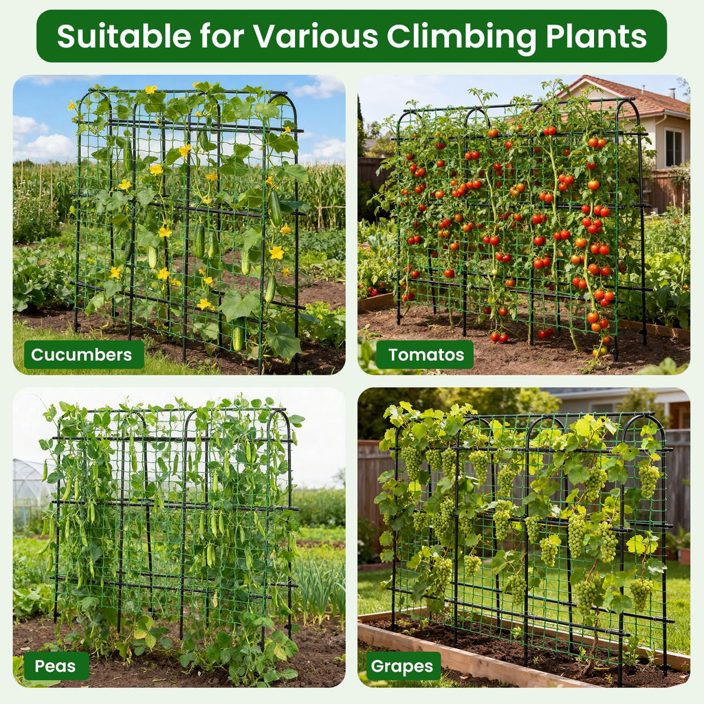 OTOSUNNY 72"x72" Garden Arch Trellis for Climbing Plants, Black