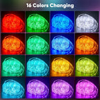 Minetom Color Changing Rope Lights Outdoor, 33FT 100 LED Rope Light