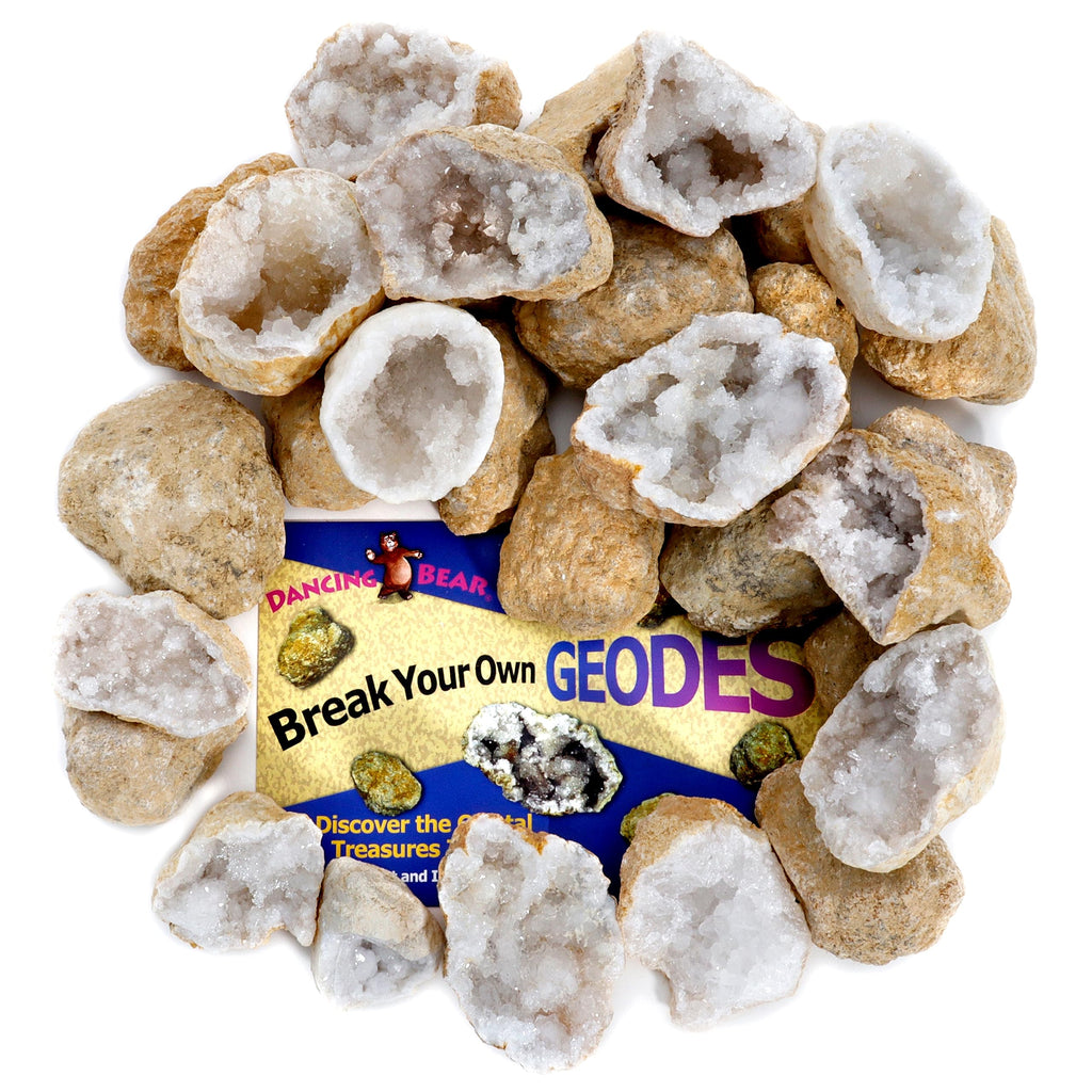 DANCING BEAR 25 Break Your Own Geodes, 90% Hollow, (Large 1.75-2.5") Crack Open & Discover Amazing Surprise Crystals Inside! Educational Info and Instructions Included, Fun Party Favors & Prizes