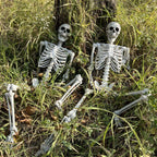 Wocst 5.4Ft/165cm Halloween Skeleton Full Body Life Size Human Bones with Movable Joints for Indoor Outdoor Halloween Props Decorations