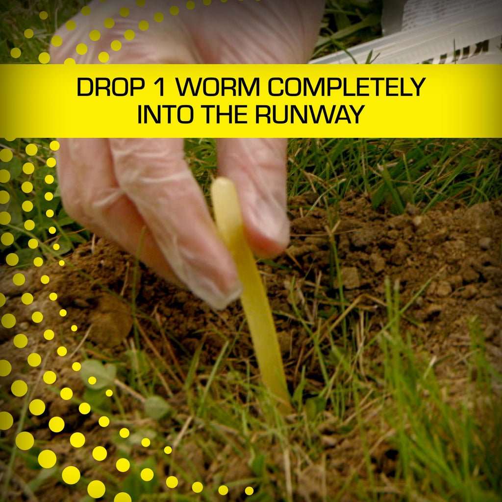 Tomcat Mole Killer(a), 12 Worm Baits