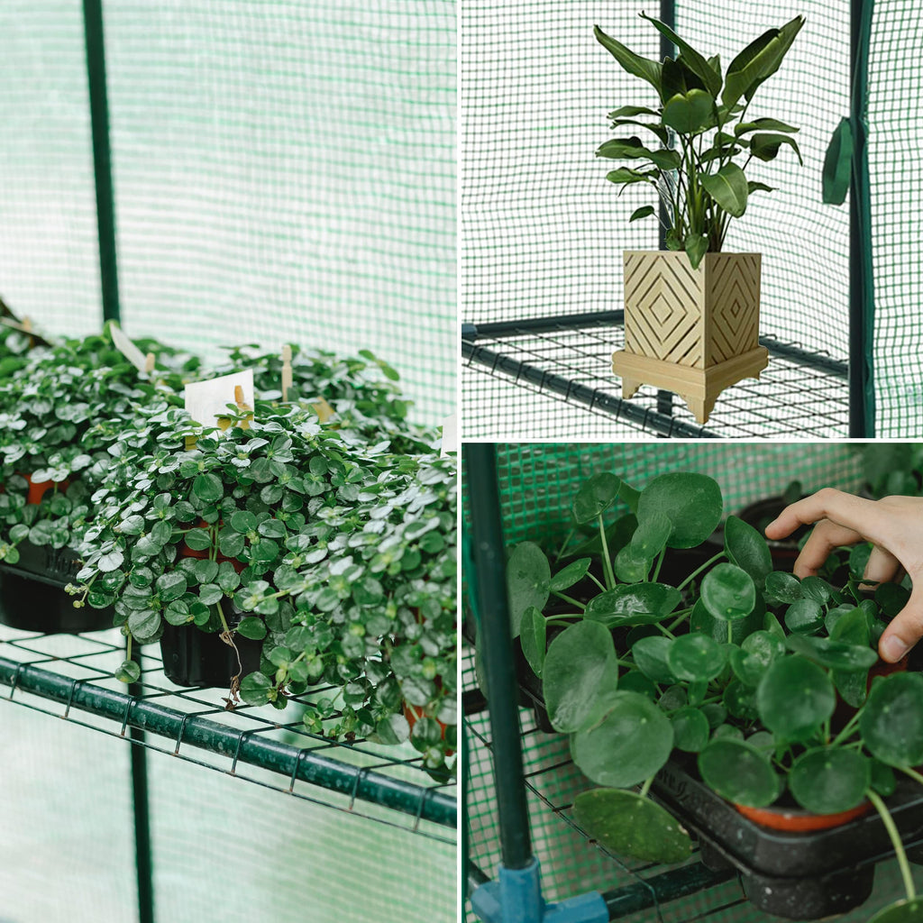 SUNGIFT Walk-in Greenhouse, 57 x 61 x 80 in, 3 Tiers 10 Shelves