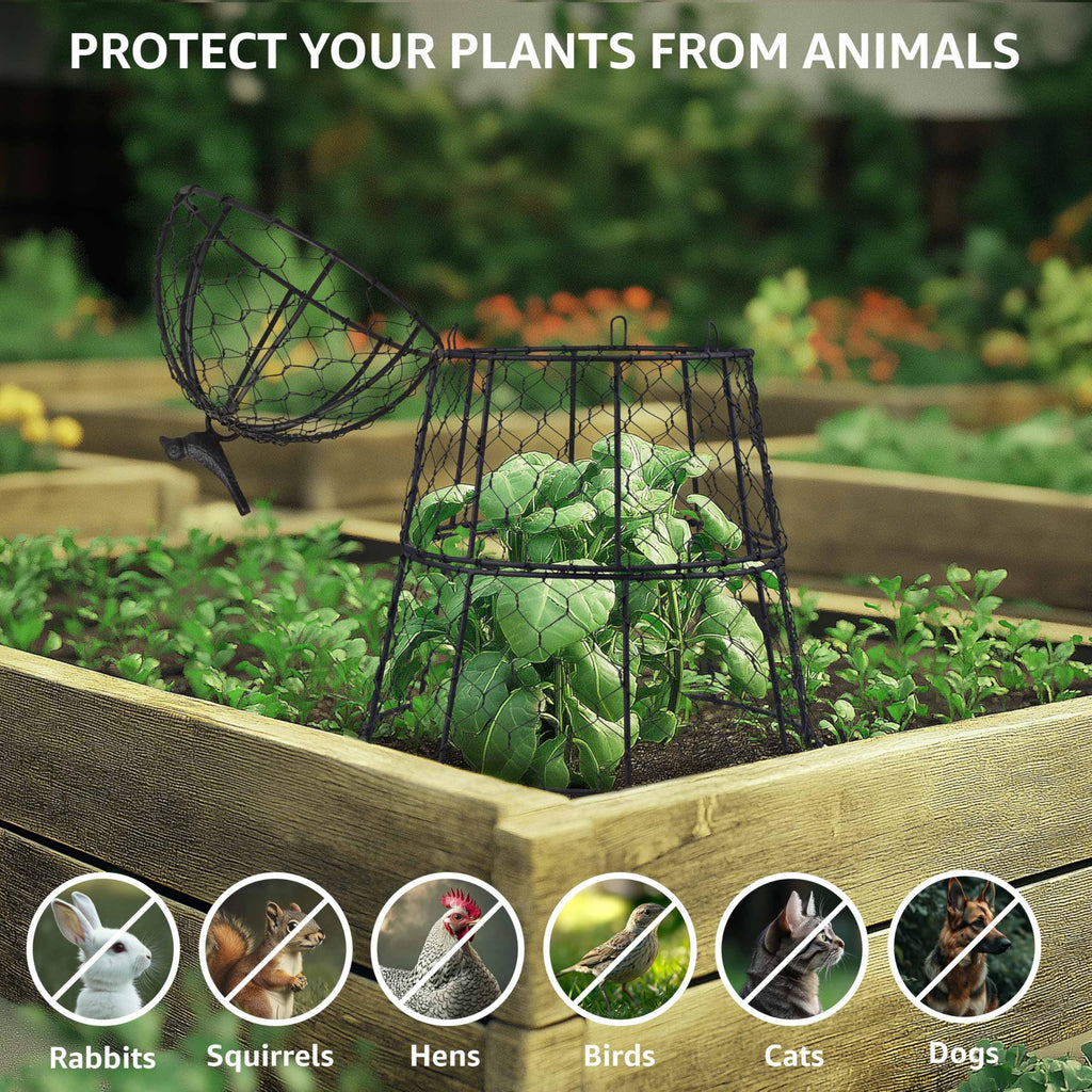 Garden Cloches for Plants, Large Plant Protectors from Animals, Pack 6
