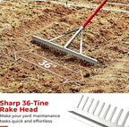 KYLIN 36 Inch / 36 Tines Aluminum Landscape Rake with 66 Inch Extra-Long Handle, Versatile Rake for Lawn Care,Loosening Soil, Weeding, Leveling Gravel, Beach Sand - Lighweight & Rust Proof