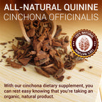 SIRUNES Quinine Tincture Extract Quinine Dried Bark Herbal Supplement Quinine Immune System Support Cinchona Bark Liquid Drops Alcohol and Gluten Free-4 fl Oz