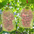 DECYOOL 120 Pcs Green Fruit Protection Bags 6x12 Drawstring Cover Bags