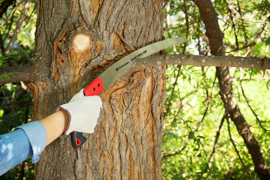 Corona Tools 14-Inch RazorTOOTH Pruning Saw | Tree Saw Designed for Single-Hand Use | Curved Blade Hand Saw | Cuts Branches Up to 8" in Diameter | RS 7395, Red/Black