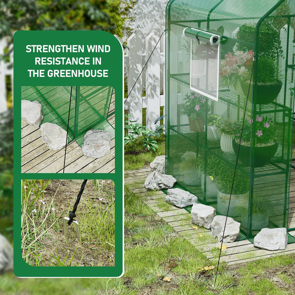 SPECILITE 56×56×78Inch Walk-in Greenhouse for Outdoors Garden Plant, Green