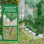 SPECILITE 56×56×78Inch Walk-in Greenhouse for Outdoors Garden Plant, Green