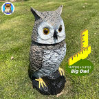 Owlery Brown Solar Owl with Motion Detector, Flashing Eyes, Spinning Head, Realistic Hooting and Silent Mode, Garden Owl, Outdoor Statue, Decoration for Home, Garden, Patio and Fence