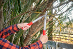 Corona Tools Forged Steel ClassicCUT Bypass Hand Pruner – 3/4-inch Cut Capacity Heavy-Duty Garden Pruning Shears for Tree, Shrub & Plant Trimming