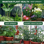 SYITCUN 6 Pack Peony Cages and Supports, 14" (W) x 32"(H) Plant Support, Rust-Proof Metal Plant Support Stakes for Outdoor&Indoor Plants