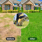 Aerator Shoes, Lawn Aerator Shoes for Grass with 5mm Metal Sole, Aeration Shoes for Lawn with Adjustable Straps, Fully Assembled Aerating Shoes for Lawn with Bend-Resistant Spikes - Black