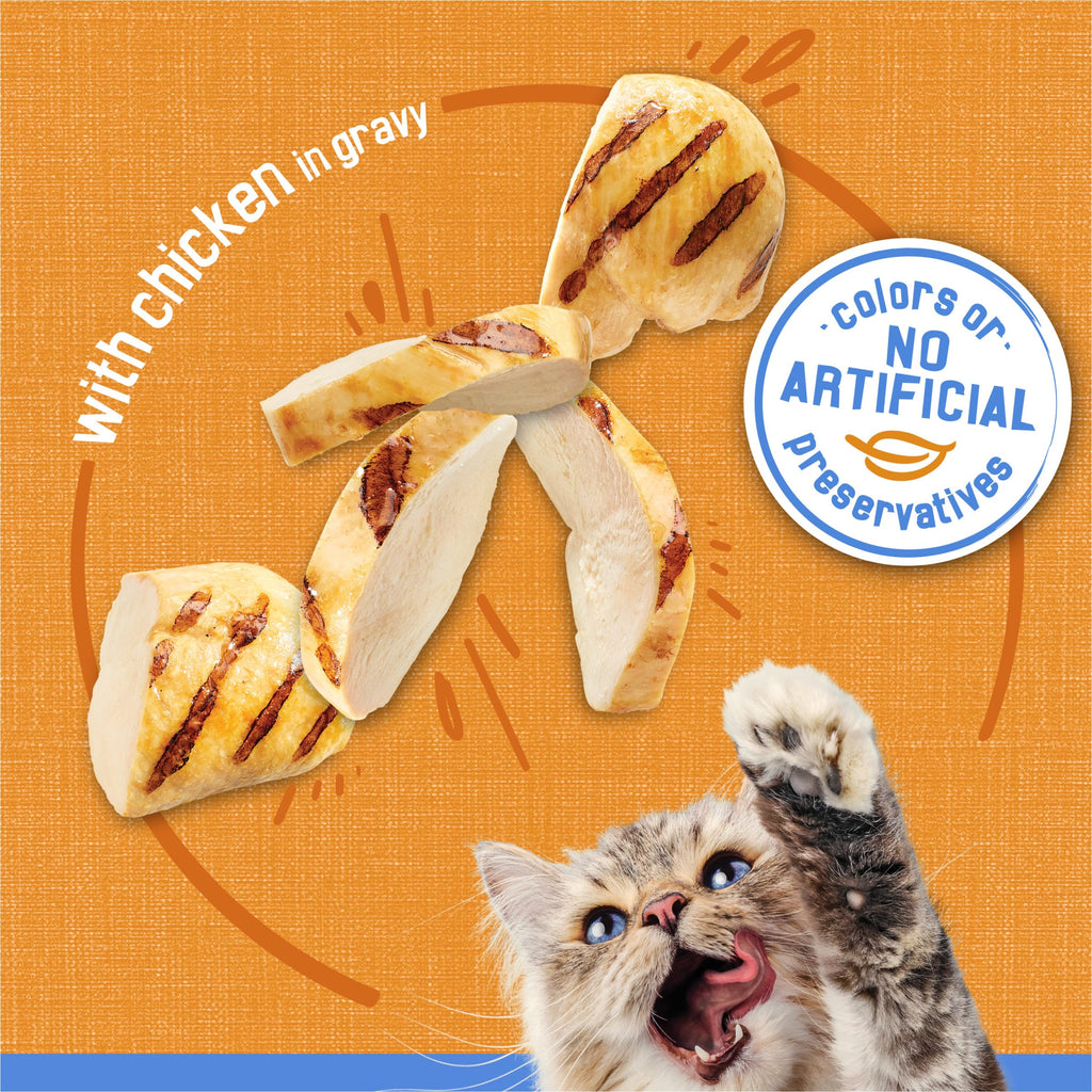 Purina Friskies Wet Cat Food, Shreds With Chicken, (24) 5.5 oz Cans