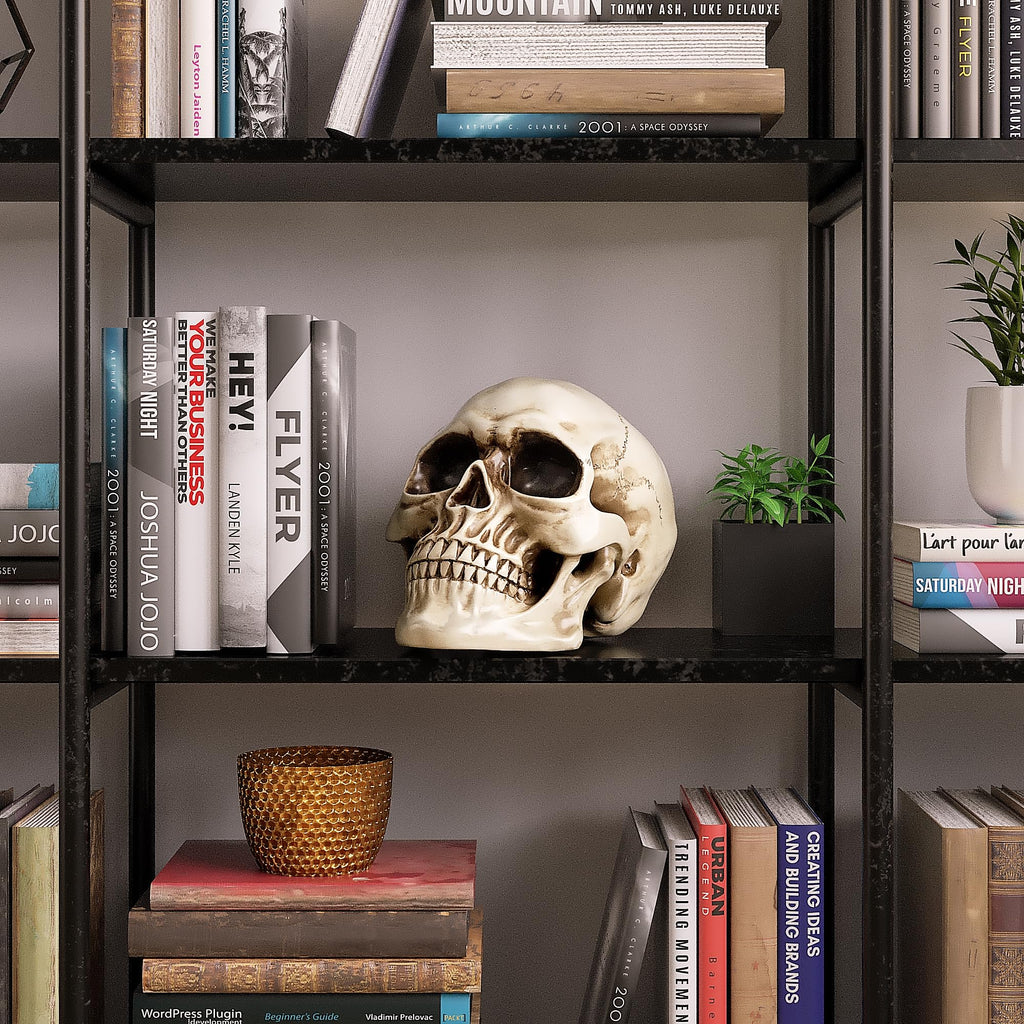 READAEER Halloween Skull Head, Life Size Resin Skull, Large Size Adult Skull Head Model for Home Decoration, Halloween Skull Statue, Human Skull Head Model (White)