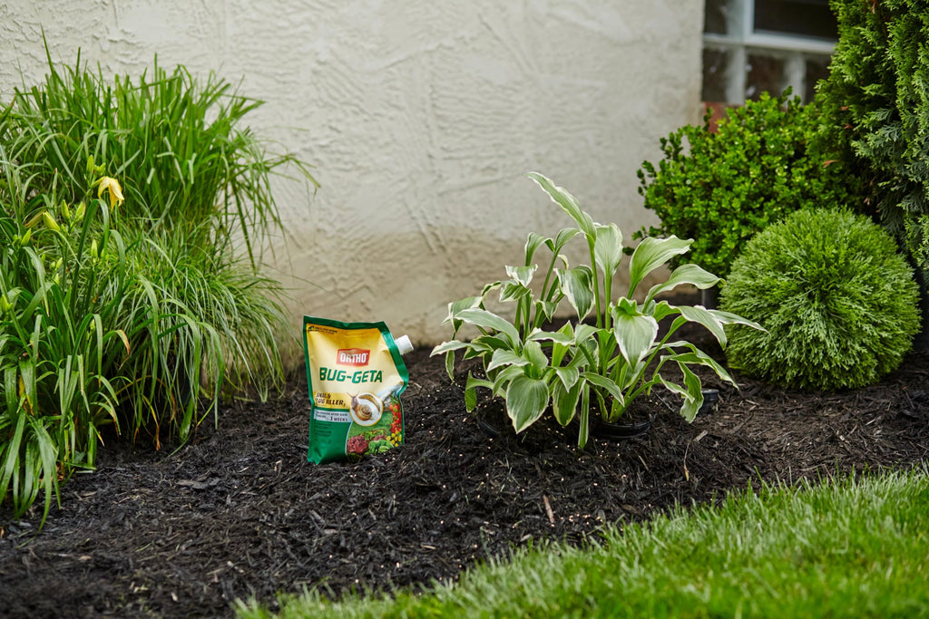 Ortho Bug-Geta Snail & Slug Killer2 - Slug Bait and Pest Control Stays Effective After Rain or Sprinkling For Up to 3 Weeks, 6 lb.