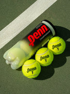 Penn Championship Tennis Balls - Extra Duty, 12 Cans, 36 Balls