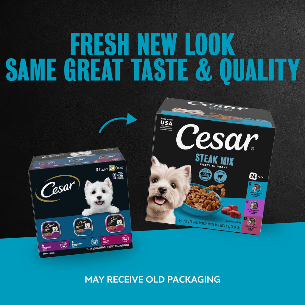 Cesar Filets in Gravy Wet Dog Food, Steak Mix Variety, 3.5 oz, 24 Count