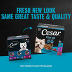 Cesar Filets in Gravy Wet Dog Food, Steak Mix Variety, 3.5 oz, 24 Count