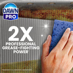 Dawn PRO Manual Pot and Pan Detergent, Dish Soap Liquid for Dishwashing by Hand, Bulk Concentrate for Commercial Use, 1 gal (Case of 2)