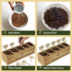 Planter's Choice Bonsai Tree Starter Kit - Unique Gifts for Women, Men - Christmas Gifts for Adults - Indoor Live House Plants - DIY Crafts for Adults Craft Kits - Hobby Gift for Gardening Lovers