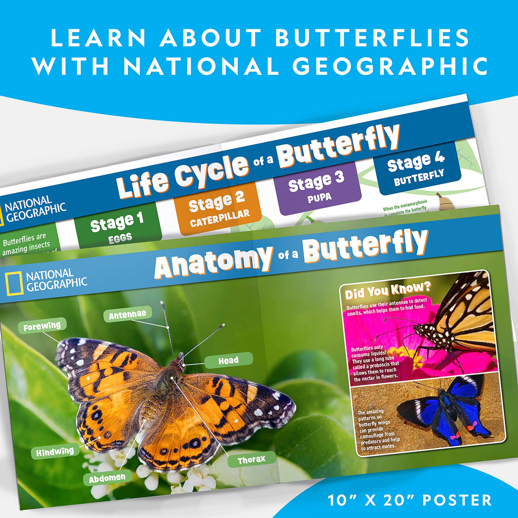 National Geographic Butterfly Growing Kit - Butterfly Habitat Kit with Voucher to Redeem 5 Caterpillars (S&H Not Included), Butterfly Cage, Feeder (Amazon Exclusive)