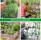 OTOSUNNY Cucumber Trellis for Raised Garden Bed, 50 x 48 in, Black