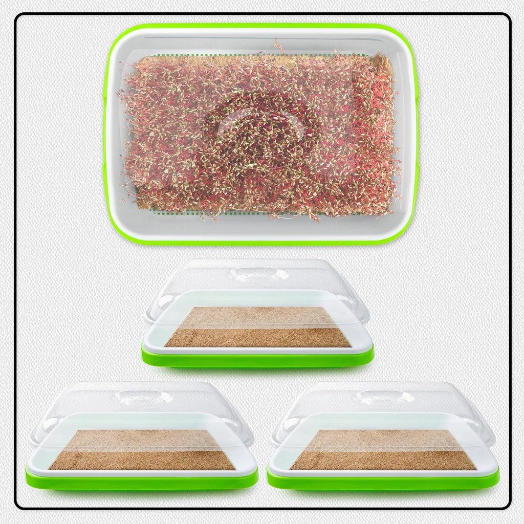 Microgreens Growing Trays with Lids and Coconut Fiber Mat,Seed Sprouter Tray with Drain Holes,Seed Starter Tray Reusable,Microgreens Growing Trays,Cat Grass Growing Kit for Indoor Cats (Pack 3)