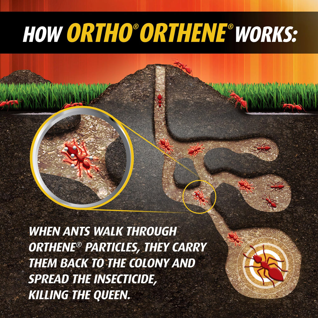 Ortho Orthene Fire Ant Killer1 – Mound Treatment, Outdoor Ant Killer, Kills Queens, No Watering Needed, Treats up to 189 Mounds, 14 oz