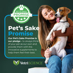 VetriScience Vetri-Flex Chews for Dogs over 60 pounds - Veterinary Recommended Canine Joint Supplement for Hips and Knees - 60 Soft Chews