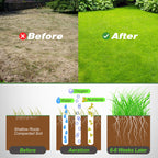 Walensee Lawn Aerator Coring Tool with Soil Core Storage Tray, 38.2" Manual Yard Plug Aerator with 3 Tines, Grass Aeration Gardening Tool with Cleaning Tool for Lawn Care and Compacted Soil