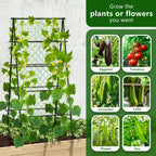AlisisFores A-Shape Garden Trellis for Climbing Plants, Black