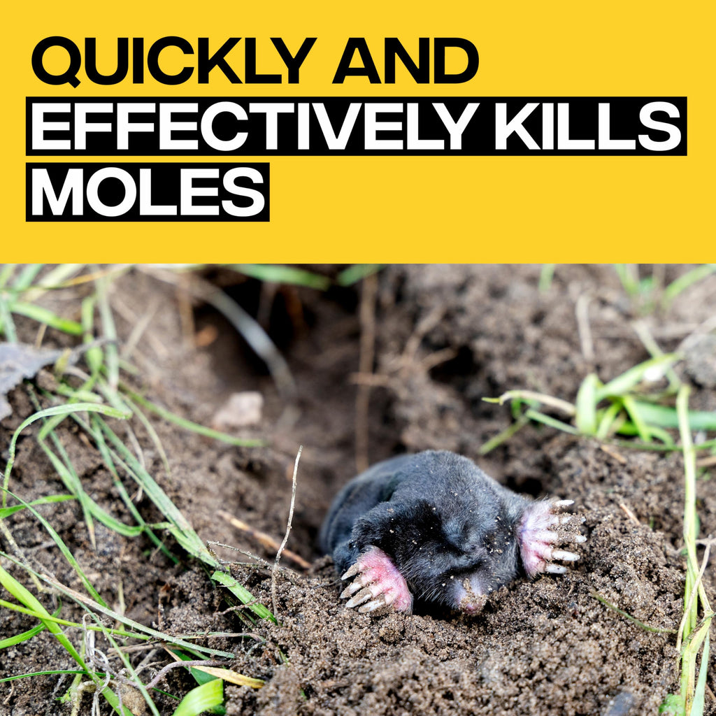 Victor Poison Moleworms - M6009 - 10 Worms, 5 Tunnel Locator Flags - Kills Moles Outdoors