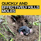 Victor Poison Moleworms - M6009 - 10 Worms, 5 Tunnel Locator Flags - Kills Moles Outdoors